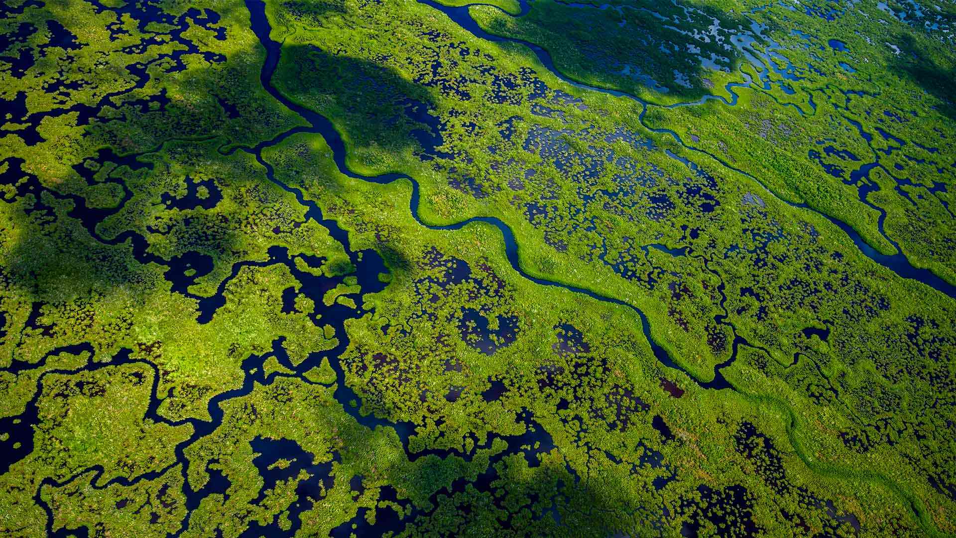 大沼泽地国家公园航拍景观，佛罗里达州，美国 (© Tetra Images/Getty Images)