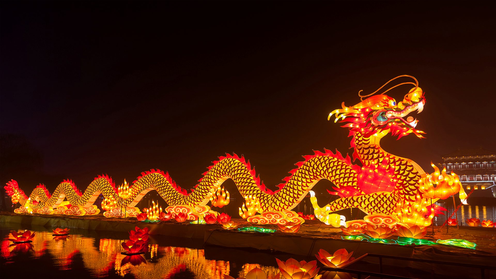 庆祝春节的龙形灯笼，中国西安 (© Pan Hong/Getty Images)