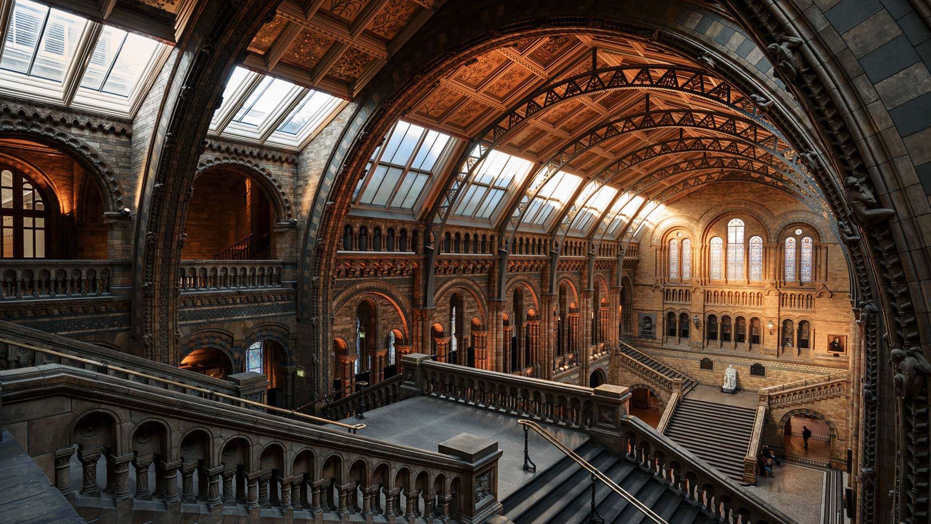 伦敦自然历史博物馆, 英格兰 (© Colm Keating/Tandem Stills + Motion)