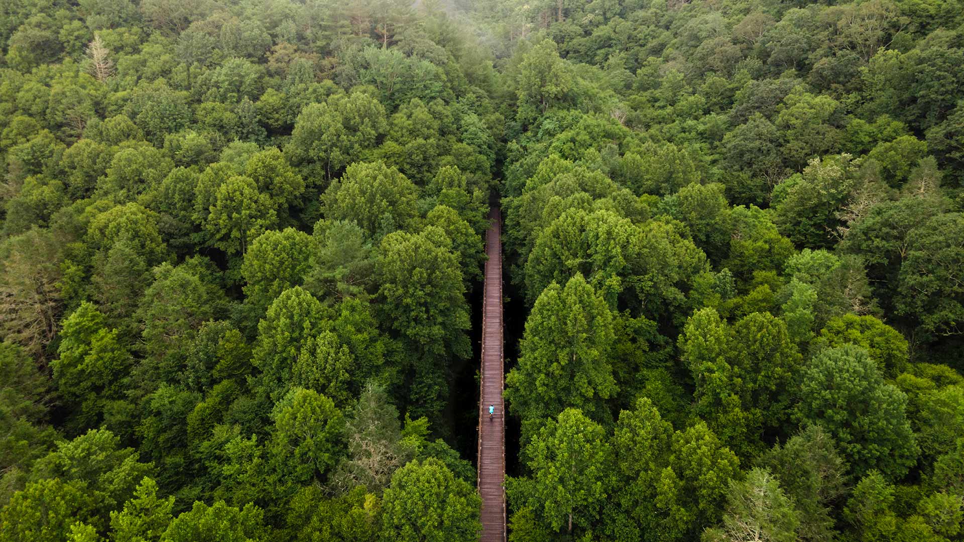 鸟瞰弗吉尼亚爬山虎步道，达马斯克斯，弗吉尼亚州，美国 (© Eifel Kreutz/Getty Images)