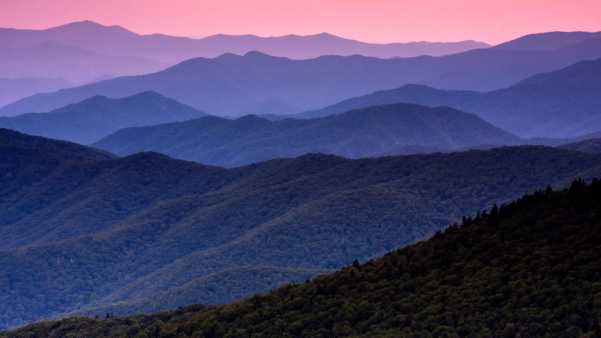 大烟山国家公园，田纳西州，美国 (© Mint Images/Getty Images)